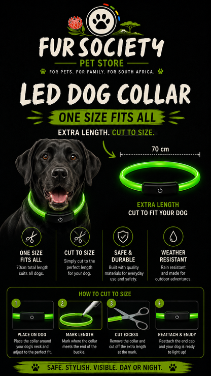 FurSociety LED Collar